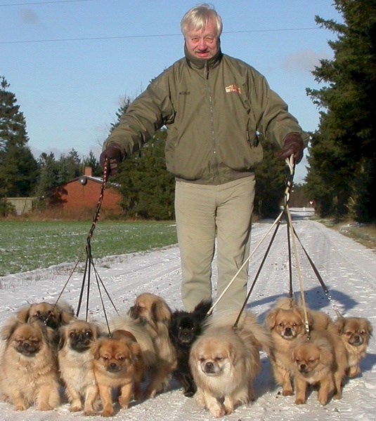 My beloved husband with dogs - some years ago.