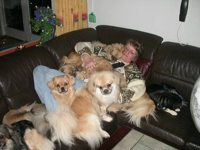 Some years ago.  Not so many dogs anymore.